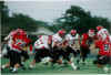 bombers 0908005.jpg (77506 bytes)